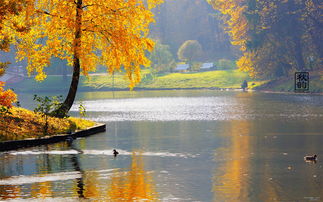 關(guān)于寫(xiě)景秋天的詩(shī)句古詩(shī)大全