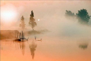 關(guān)于瀑布的相思詩句古詩