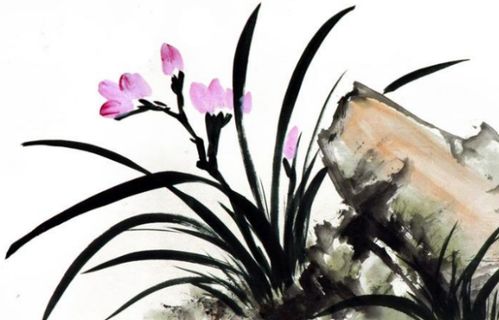 古詩,詩句,描寫,花卉