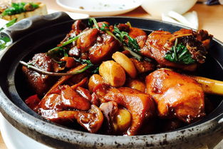 關(guān)于美食雞肉的詩(shī)句