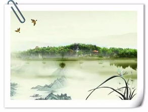 詩(shī)句,詩(shī)中