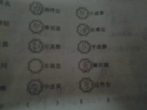 起字結尾的古詩句