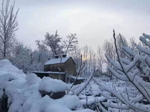 贊美大雪的詩句古詩,贊美青山綠水的古詩句,贊美父親的古詩句