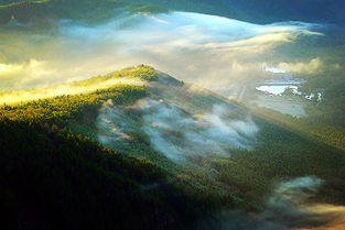 關于霧的唯美詩句