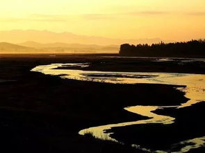 關(guān)于河的s詩句