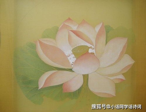 關于蓮的詩句古詩20首