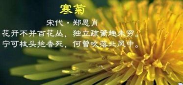 關(guān)于愛(ài)惜花草的詩(shī)句