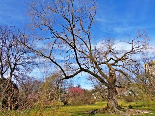 關(guān)于花草樹木鳥的詩句