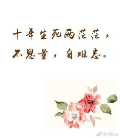 寫(xiě)思念?lèi)?ài)人的詩(shī)句古詩(shī)詞