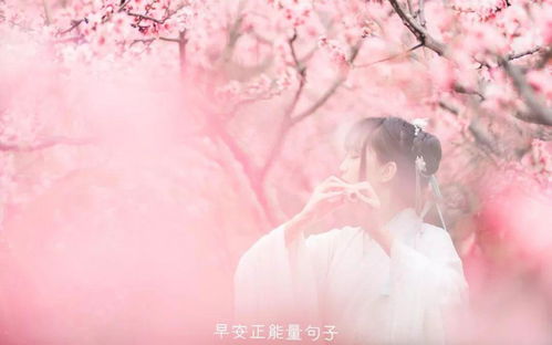 關(guān)于勇敢去愛的詩句