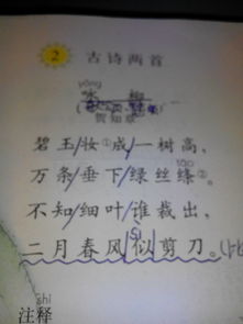 古詩贊美脈診的詩句