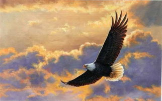 關(guān)于敬畏理想的詩句