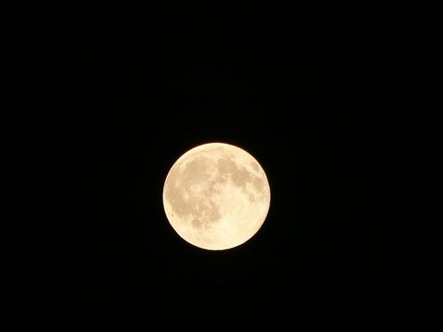 贊美中秋月亮的詩句古詩大全,關(guān)于月亮的詩句古詩大全,描寫月亮的詩句古詩大全