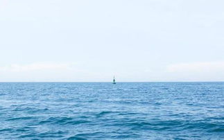 關于大海日出的詩句現代詩