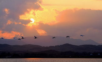 關(guān)于黃昏美女的詩句