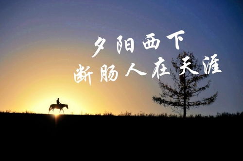 詩(shī)句,描寫,孤獨(dú),旅行