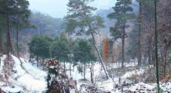 請寫出兩句寫泉的古詩句