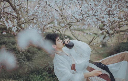 關(guān)于白衣少的詩句