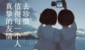 詩(shī)句,真摯,友情