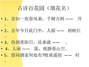 關(guān)于詩(shī)句競(jìng)賽的內(nèi)容