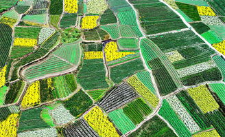 關(guān)于藍田縣的古詩句