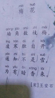 古詩(shī)中贊美花的品德的詩(shī)句