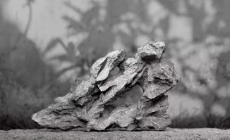 描寫壯麗山河的古詩(shī)句子