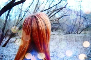 詩(shī)句,追女生