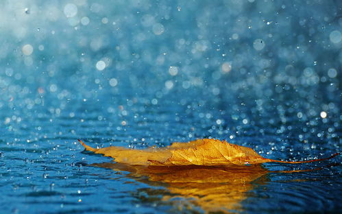 關于雨滋潤莊稼的詩句