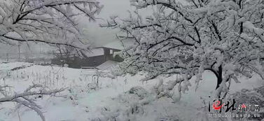 
高適:《別董大》
千里黃云白日曛,北風(fēng)吹雁雪紛紛.
莫愁前路無(wú)知己,天下誰(shuí)人不識(shí)君?
李白《北風(fēng)行》
燭龍棲寒門(mén),光耀猶旦開(kāi).
日月照之何不及此,唯有北風(fēng)號(hào)怒天上來(lái).
燕山雪花大如席,片片吹落軒轅臺(tái).
幽州思婦十二月,停歌罷笑雙蛾摧.
倚門(mén)望行人,念君長(zhǎng)城苦寒良可哀.
別時(shí)提劍救邊去,遺此虎文金鞞靫.
中有一又白羽箭,蜘蛛結(jié)網(wǎng)生塵埃.
箭空在,人今戰(zhàn)死不復(fù)回.
不忍見(jiàn)此物,焚之已成灰.
黃河捧土尚可塞,北風(fēng)雨雪恨難裁.
1、燕山雪花大如席,紛紛吹落軒轅臺(tái)。
2、長(zhǎng)天遠(yuǎn)樹(shù)山山白,不辨梅花與柳花。
3、冬盡今宵促,年開(kāi)明日長(zhǎng)?!脊?amp;lt;守歲>
4、鳴笙起秋風(fēng),置酒飛冬雪。關(guān)于冬天景色的詩(shī)句?!跷?amp;lt;四氣詩(shī)>
5、兒童冬雪鬧比鄰,據(jù)岸愚儒卻子珍?!懹?amp;lt;秋日郊居>
6、南鄰更可念,布破冬未贖?!懹?amp;lt;十月二十八日風(fēng)雨大作>
7、千樹(shù)萬(wàn)樹(shù)白玉條,過(guò)臨村路傍溪橋。
8、邯鄲驛里逢冬至,報(bào)膝燈前影伴身。——白居易<;冬至夜思家>
9、隆冬到來(lái)時(shí),百花即已絕?!愐?amp;lt;梅>
10、天時(shí)人事日相催,冬至陽(yáng)生春又來(lái)?!鸥?amp;lt;小至>
11、出山逢耿湋內(nèi)容云雪離披山萬(wàn)里,別來(lái)曾住最高峰。關(guān)于冬天景色的詩(shī)句。暫到人間歸不得,長(zhǎng)安陌上又相逢。
12、誰(shuí)將平地萬(wàn)堆雪,剪刻作此連天花。
13、六出飛花入戶(hù)時(shí),坐看青竹變瓊枝。
14、忽如一夜春風(fēng)來(lái),千樹(shù)萬(wàn)樹(shù)梨花開(kāi)。
15、千門(mén)萬(wàn)戶(hù)雪花浮,點(diǎn)點(diǎn)無(wú)聲落瓦溝。全似玉塵消更積,半成冰片結(jié)還流。光含曉色清天苑,輕逐微風(fēng)繞御樓。()平地已沾盈尺潤(rùn),年豐須荷富人侯。
16、不知庭霰今朝落,疑是林花昨夜開(kāi)。
17、不知近水花先發(fā),疑是經(jīng)冬雪未消。何方可化身千億,一樹(shù)梅花一放翁。
18、不知近水花先發(fā),疑是經(jīng)冬雪未銷(xiāo)?!獜堉^<;早梅>
19、北風(fēng)卷地百草折,胡天八月即飛雪。
20、秋月楊明惲,冬嶺秀寒松。
21、散漫天涯色,乘春四望平。不分殘照影,何處斷鴻聲??澙@先經(jīng)塞,霏微近過(guò)城。因風(fēng)低未斂,帶雨重還輕。干呂知時(shí)泰,如膏候歲成。小儒同品物,無(wú)以答皇明。春雪空蒙簾外斜,霏微半入野人家。
22、窗含西嶺千秋雪,門(mén)泊東吳萬(wàn)里船。
23、白雪卻嫌春色晚,故穿庭樹(shù)作飛花。
·杜甫
兩個(gè)黃鸝鳴翠柳,一行白露上青天。
窗含西嶺千秋雪,門(mén)泊東吳萬(wàn)里船。
2、《逢雪宿芙蓉山主人》
唐·劉長(zhǎng)卿
日暮蒼山遠(yuǎn),天寒白屋貧。
柴門(mén)聞犬吠,風(fēng)雪夜歸人。
3、《終南望余雪》
唐·祖詠
終南陰嶺秀,積雪浮云端。
林表明霽色,城中增暮寒。
4、《江雪》
唐·柳宗元
千山鳥(niǎo)飛絕,萬(wàn)徑人蹤滅。
孤舟蓑笠翁,獨(dú)釣寒江雪。
5、《問(wèn)劉十九》
唐·白居易
綠蟻新醅酒,紅泥小火爐。
晚來(lái)天欲雪,能飲一杯無(wú)。
6、《梅花》
宋·王安石
墻角數(shù)枝梅,凌寒獨(dú)自開(kāi)。
遙知不是雪,為有暗香來(lái)。
7、《冬至夜懷湘靈》
唐·白居易
艷質(zhì)無(wú)由見(jiàn),寒衾不可親。
何堪最長(zhǎng)夜,俱作獨(dú)眠人。
8、《別董大》
唐·高適
千里黃云白日曛,北風(fēng)吹雁雪紛紛。
莫愁前路無(wú)知己,天下誰(shuí)人不識(shí)君。
9、《塞下曲》
唐·盧綸
月黑雁飛高,單于夜遁逃。
欲將輕騎逐,大雪滿(mǎn)弓刀。
10、《冬夕》
唐·岑參
浩汗霜風(fēng)刮天地,溫泉火井無(wú)生意。
澤國(guó)龍蛇凍不伸,南山瘦柏消殘翠。
11、《初冬夜飲》
唐·杜牧
淮陽(yáng)多病偶求歡,客袖侵霜與燭盤(pán)。
砌下梨花一堆雪,明年誰(shuí)此憑欄干?
12、《冬夜送人》
唐·賈島
平明走馬上村橋,花落梅溪雪未消。
日短天寒愁送客,楚山無(wú)限路迢迢。
13、《窮冬曲江閑步》
唐·裴夷直
雪盡南坡雁北飛,草根春意勝春暉。
曲江永日無(wú)人到,獨(dú)繞寒池又獨(dú)歸。
描寫(xiě)冬天的詩(shī) 絕句----杜甫 兩個(gè)黃鸝鳴翠柳, 一行白露上青天。
窗含西嶺千秋雪, 門(mén)泊東吳萬(wàn)里船。 江雪----柳宗元 千山鳥(niǎo)飛絕, 萬(wàn)徑人蹤滅。
孤舟蓑笠翁, 獨(dú)釣寒江雪。 梅花----王安石 墻角數(shù)枝梅, 凌寒獨(dú)自開(kāi)。
遙知不是雪 為有暗香來(lái) 描寫(xiě)冬天的詩(shī) 逢雪宿芙蓉山主人 江 雪 劉長(zhǎng)卿 柳宗元 日 暮 蒼 山 遠(yuǎn),千 山 鳥(niǎo) 飛 絕, 天 寒 白 屋 貧。萬(wàn) 徑 人 蹤 滅。
柴 門(mén) 聞 犬 吠,孤 舟 蓑 笠 翁, 風(fēng) 雪 夜 歸 人。獨(dú) 釣 寒 江 雪。
雨雪瀌瀌,見(jiàn)晛曰消 瀌瀌:雪盛的樣子;一說(shuō)猶“飄飄”。晛;太陽(yáng)的熱氣。
曰:語(yǔ)助詞,無(wú)實(shí)義。 《詩(shī)經(jīng)·小雅·角弓》 寒風(fēng)摧樹(shù)木,嚴(yán)霜結(jié)庭蘭 漢·樂(lè)府古辭《古詩(shī)為焦仲卿妻作》 凄凄歲暮風(fēng),翳翳經(jīng)日雪。
傾耳無(wú)希聲,在目皓已潔 凄凄:寒涼。翳翳:陰暗。
希:少。在目:眼睛所見(jiàn)。
皓:白。 晉·陶淵明《癸卯歲十二月中作與從弟敬遠(yuǎn)》 撒鹽空中差可擬,未若柳絮因風(fēng)起 晉·謝道蘊(yùn)《詠雪聯(lián)句》:“白雪紛紛何所似,撒鹽空中差可擬,未若柳絮因風(fēng)起。”
明月照積雪,朔風(fēng)勁且哀 朔風(fēng):北風(fēng)。勁:猛烈。
哀:凄厲。 南朝宋·謝靈運(yùn)《歲暮》 隔牖風(fēng)驚竹,開(kāi)門(mén)雪滿(mǎn)山 牖:窗戶(hù)。
風(fēng)驚竹:風(fēng)中帶雪,打在竹上,發(fā)出沙沙的響聲。 唐·王維《冬晚對(duì)雪憶胡居士家》 不知庭霰今朝落,疑是林花昨夜開(kāi) 庭霰:落在庭院里的雪花。
唐·宋之問(wèn)《苑中遇雪應(yīng)制》 水聲冰下咽,沙路雪中平 唐·劉長(zhǎng)卿《酬張夏雪夜赴州訪(fǎng)別途中苦寒作》 一條藤?gòu)骄G,萬(wàn)點(diǎn)雪峰晴 唐·李白《冬日歸舊山》 地白風(fēng)色寒,雪花大如手 唐·李白《嘲王歷陽(yáng)不肯飲酒》 燕山雪花大如席,紛紛吹落軒轅臺(tái) 軒轅臺(tái):相傳為黃帝擒蚩尤之處。 唐·李白《北風(fēng)行》 亂云低薄暮,急雪舞回風(fēng) 回風(fēng):回旋的風(fēng)。
唐·杜甫《對(duì)雪》 霜嚴(yán)衣帶斷,指直不得結(jié) 指直:手指僵直。 唐·杜甫《自京赴奉先縣詠懷五百字》 云晴鷗更舞,風(fēng)逆雁無(wú)行 無(wú)行:不成行列。
唐·杜甫《冬晚送長(zhǎng)孫漸舍人歸州》 寒天催日短,風(fēng)浪與云平 唐·杜甫《公安縣懷古》 斜陽(yáng)疏竹上,殘雪亂山中 唐·韓翃《褚主簿宅會(huì)畢庶子錢(qián)員外郎使君》(一作張繼詩(shī)) 誰(shuí)將平地萬(wàn)堆雪,剪刻作此連天花 唐·韓愈《李花二首》:“當(dāng)春天地爭(zhēng)奢華,洛陽(yáng)園苑尤紛拏。誰(shuí)將平地萬(wàn)堆雪,剪刻作此連天花。”
千山鳥(niǎo)飛絕,萬(wàn)徑人蹤滅。孤舟蓑笠翁,獨(dú)釣寒江雪。
唐·柳宗元《江雪》 嚴(yán)冬不肅殺,何以見(jiàn)陽(yáng)春 肅殺:嚴(yán)酷蕭瑟的樣子。 唐·呂溫《孟冬蒲津關(guān)河亭作》 天寒色青蒼,北風(fēng)叫枯桑。
厚冰無(wú)裂文,短日有冷光 叫:風(fēng)聲如吼。 唐·孟郊《苦寒吟》 才見(jiàn)嶺頭云似蓋,已驚巖下雪如塵。
千峰筍石千株玉,萬(wàn)樹(shù)松蘿萬(wàn)朵云 唐·元稹《南秦雪》 六出飛花入戶(hù)時(shí),坐看青竹變瓊枝 六出:雪花呈六角形,故以“六出”稱(chēng)雪花。瓊枝:竹枝因雪覆蓋面似白玉一般。
唐·高駢《對(duì)雪》 夜深知雪重,時(shí)聞?wù)壑衤?唐·白居易《夜雪》:“已訝衾枕冷,復(fù)見(jiàn)窗戶(hù)明。夜深知雪重,時(shí)聞?wù)壑衤?。?/p>
旋撲珠簾過(guò)粉墻,輕于柳絮重于霜 兩句寫(xiě)雪花紛飛的景象。 唐·李商隱《對(duì)雪二首》 百泉凍皆咽,我吟寒更切 咽:泉水因冰凍而流動(dòng)不暢,因以嗚咽來(lái)形容。
吟:歌吟。 唐·劉駕《苦寒吟》:“百泉凍皆咽,我吟寒更切。
半夜倚喬松,不覺(jué)滿(mǎn)衣雪?!?戰(zhàn)退玉龍三百萬(wàn),敗鱗殘甲滿(mǎn)天飛 玉龍:形容飛雪。
敗鱗殘甲:形容雪片亂舞如鱗甲之片紛紛墜落。 宋·胡仔《苕溪漁隱叢話(huà)》前集卷五十四引《西清詩(shī)話(huà)》載張?jiān)鳌堆吩?shī) 江山不夜月千里,天地?zé)o私玉萬(wàn)家 玉:喻白雪。
元·黃庚《雪》 溪深難受雪,山凍不流云 清·洪升《雪望》 渾渾噩噩如一夢(mèng), 傳來(lái)慈母喚兒聲。 聲聲似有千均重, 聲聲銘刻在心中。
三九天,好大風(fēng), 風(fēng)中有個(gè)白頭翁。 七旬老父雖年邁, 依舊為兒去擔(dān)驚。
逢雪宿芙蓉山主人 江 雪 劉長(zhǎng)卿 柳宗元 日 暮 蒼 山 遠(yuǎn),千 山 鳥(niǎo) 飛 絕, 天 寒 白 屋 貧。萬(wàn) 徑 人 蹤 滅。
柴 門(mén) 聞 犬 吠,孤 舟 蓑 笠 翁, 風(fēng) 雪 夜 歸 人。獨(dú) 釣 寒 江 雪。
雨雪瀌瀌,見(jiàn)晛曰消 瀌瀌:雪盛的樣子;一說(shuō)猶“飄飄”。晛;太陽(yáng)的熱氣。
曰:語(yǔ)助詞,無(wú)實(shí)義。 《詩(shī)經(jīng)·小雅·角弓》 寒風(fēng)摧樹(shù)木,嚴(yán)霜結(jié)庭蘭 漢·樂(lè)府古辭《古詩(shī)為焦仲卿妻作》 凄凄歲暮風(fēng),翳翳經(jīng)日雪。
傾耳無(wú)希聲,在目皓已潔 凄凄:寒涼。翳翳:陰暗。
希:少。在目:眼睛所見(jiàn)。
皓:白。 晉·陶淵明《癸卯歲十二月中作與從弟敬遠(yuǎn)》 撒鹽空中差可擬,未若柳絮因風(fēng)起 晉·謝道蘊(yùn)《詠雪聯(lián)句》:“白雪紛紛何所似,撒鹽空中差可擬,未若柳絮因風(fēng)起?!?/p>
明月照積雪,朔風(fēng)勁且哀 朔風(fēng):北風(fēng)。勁:猛烈。
哀:凄厲。 南朝宋·謝靈運(yùn)《歲暮》 隔牖風(fēng)驚竹,開(kāi)門(mén)雪滿(mǎn)山 牖:窗戶(hù)。
風(fēng)驚竹:風(fēng)中帶雪,打在竹上,發(fā)出沙沙的響聲。 唐·王維《冬晚對(duì)雪憶胡居士家》 不知庭霰今朝落,疑是林花昨夜開(kāi) 庭霰:落在庭院里的雪花。
唐·宋之問(wèn)《苑中遇雪應(yīng)制》 水聲冰下咽,沙路雪中平 唐·劉長(zhǎng)卿《酬張夏雪夜赴州訪(fǎng)別途中苦寒作》 一條藤?gòu)骄G,萬(wàn)點(diǎn)雪峰晴 唐·李白《冬日歸舊山》 地白風(fēng)色寒,雪花大如手 唐·李白《嘲王歷陽(yáng)不肯飲酒》 燕山雪花大如席,紛紛吹落軒轅臺(tái) 軒轅臺(tái):相傳為黃帝擒蚩尤之處。 唐·李白《北風(fēng)行》 亂云低薄暮,急雪舞回風(fēng) 回風(fēng):回旋的風(fēng)。
唐·杜甫《對(duì)雪》 霜嚴(yán)衣帶斷,。
1.《江雪》 唐 · 柳宗元
千山鳥(niǎo)飛絕,萬(wàn)徑人蹤滅。
孤舟蓑笠翁,獨(dú)釣寒江雪。
譯文:千山萬(wàn)嶺不見(jiàn)飛鳥(niǎo)的蹤影;千路萬(wàn)徑不見(jiàn)行人的足跡。一葉孤舟上,一位身披蓑衣頭戴斗笠的漁翁;獨(dú)自在漫天風(fēng)雪中垂釣。
2.《雪梅·其一》 宋 · 盧梅坡
梅雪爭(zhēng)春未肯降,騷人閣筆費(fèi)評(píng)章。
梅須遜雪三分白,雪卻輸梅一段香。
譯文:梅花和雪花都認(rèn)為各自占盡了春色,誰(shuí)也不肯服輸。難壞了詩(shī)人,難寫(xiě)評(píng)判文章。說(shuō)句公道話(huà),梅花須遜讓雪花三分晶瑩潔白,雪花卻輸給梅花一段清香。
3.《青松》 現(xiàn)代 · 陳毅
大雪壓青松,青松挺且直。
要知松高潔,待到雪化時(shí)。
譯文:厚厚的一層雪壓在松枝上,這青松又高又直。要想知道這青松又多么純潔多么高大,那就要等到樹(shù)上那層厚厚的雪化了之后才能看到。
4.《終南望余雪》 唐 · 祖詠
終南陰嶺秀,積雪浮云端。
林表明霽色,城中增暮寒。
譯文:遙望終南,北山秀麗,皚皚白雪,若浮云間。雪后初晴,林梢之間閃爍著夕陽(yáng)余暉,晚時(shí)分,長(zhǎng)安城內(nèi)又添了幾分積寒。
5.《夜雪》 唐 · 白居易
已訝衾枕冷,復(fù)見(jiàn)窗戶(hù)明。
夜深知雪重,時(shí)聞?wù)壑衤暋?/p>
譯文:夜臥枕被如冰,不由讓我很驚訝,又看見(jiàn)窗戶(hù)被白雪泛出的光照亮。夜深的時(shí)候就知道雪下得很大,是因?yàn)椴粫r(shí)地能聽(tīng)到雪把竹枝壓折的聲音。是因?yàn)椴粫r(shí)地能聽(tīng)到雪把竹枝壓折的聲音。
6.《白雪歌送武判官歸京》 唐 · 岑參
北風(fēng)卷地白草折,胡天八月即飛雪。
忽如一夜春風(fēng)來(lái),千樹(shù)萬(wàn)樹(shù)梨花開(kāi)。
散入珠簾濕羅幕,狐裘不暖錦衾薄。
將軍角弓不得控,都護(hù)鐵衣冷難著。
瀚海闌干百丈冰,愁云慘淡萬(wàn)里凝。
中軍置酒飲歸客,胡琴琵琶與羌笛。
紛紛暮雪下轅門(mén),風(fēng)掣紅旗凍不翻。
輪臺(tái)東門(mén)送君去,去時(shí)雪滿(mǎn)天山路。
山回路轉(zhuǎn)不見(jiàn)君,雪上空留馬行處。
譯文:北風(fēng)席卷大地把白草吹折,胡地天氣八月就紛揚(yáng)落雪。忽然間宛如一夜春風(fēng)吹來(lái),好像是千樹(shù)萬(wàn)樹(shù)梨花盛開(kāi)。雪花散入珠簾打濕了羅幕,狐裘穿不暖錦被也嫌單薄。將軍都護(hù)手凍得拉不開(kāi)弓,鐵甲冰冷得讓人難以穿著。沙漠結(jié)冰百丈縱橫有紋,萬(wàn)里長(zhǎng)空凝聚著慘淡愁云。主帥帳中擺酒為歸客餞行,胡琴琵琶羌笛合奏來(lái)助興。傍晚轅門(mén)前大雪落個(gè)不停,紅旗凍僵了風(fēng)也無(wú)法牽引。輪臺(tái)東門(mén)外歡送你回京去,你去時(shí)大雪蓋滿(mǎn)了天山路。山路迂回曲折已看不見(jiàn)你,雪上只留下一行馬蹄印跡。
7.《和張仆射塞下曲·其三》 唐 · 盧綸
月黑雁飛高,單于夜遁逃。
欲將輕騎逐,大雪滿(mǎn)弓刀。
譯文:夜靜月黑雁群飛得很高,單于趁黑夜悄悄地逃竄。正要帶領(lǐng)輕騎兵去追趕,大雪紛飛落滿(mǎn)了身上的弓刀。
8.《觀(guān)獵》 唐 · 王維
風(fēng)勁角弓鳴,將軍獵渭城。
草枯鷹眼疾,雪盡馬蹄輕。
忽過(guò)新豐市,還歸細(xì)柳營(yíng)。
回看射雕處,千里暮云平。
譯文:角弓上箭射了出去,弦聲和著強(qiáng)風(fēng)一起呼嘯!將軍和士兵的獵騎,飛馳在渭城的近郊。枯萎的野草,遮不住尖銳的鷹眼;積雪融化,飛馳的馬蹄更像風(fēng)追葉飄。轉(zhuǎn)眼間,獵騎穿過(guò)了新豐市,駐馬時(shí),已經(jīng)回到細(xì)柳營(yíng)。凱旋時(shí)回頭一望,那打獵的地方;千里無(wú)垠,暮云籠罩,原野靜悄悄。
9.《稚子弄冰》 宋 · 楊萬(wàn)里
稚子金盆脫曉冰,彩絲穿取當(dāng)銀錚。
敲成玉磬穿林響,忽作玻璃碎地聲。
譯文:一個(gè)小孩子,早上起來(lái),從結(jié)有堅(jiān)冰的銅盆里剜冰,用彩絲穿起來(lái)當(dāng)錚來(lái)敲。敲出的聲音像玉磬一般穿越樹(shù)林,突然冰落在地上發(fā)出玻璃一樣的碎裂聲。
10.《對(duì)雪》 唐 · 高駢
六出飛花入戶(hù)時(shí),坐看青竹變瓊枝。
如今好上高樓望,蓋盡人間惡路岐。
譯文:雪花飄舞著飛入了窗戶(hù),我坐在窗前,看著青青的竹子變成白玉般潔白。 此時(shí)正好登上高樓去遠(yuǎn)望,那人世間一切險(xiǎn)惡的岔路都被大雪覆蓋了。
![關(guān)于冬季去游玩的詩(shī)句