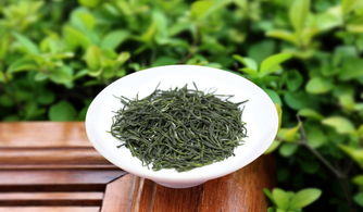 關于信陽毛尖茶詩句