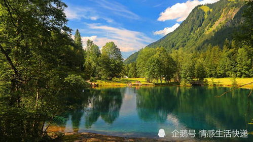 關(guān)于有付出才有回報的古詩句