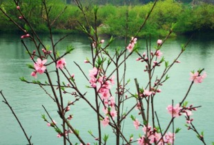 古詩桃花潭的詩句