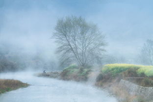 關(guān)于徽州下雪的詩句