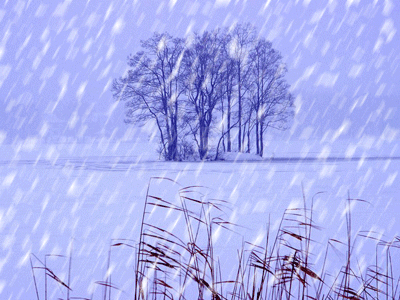 關(guān)于雪和安靜的詩句