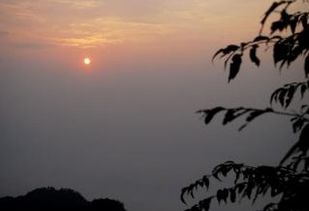 日出撒網古詩句