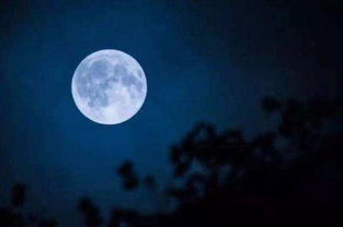 中秋贊美月亮的詩(shī)句古詩(shī)