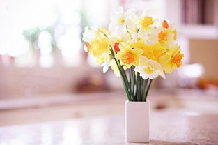 描寫(xiě)人的下半生的古詩(shī)句