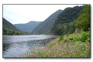 描繪山清水秀的古詩(shī)句