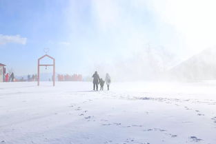 詩句,文藝,于雪