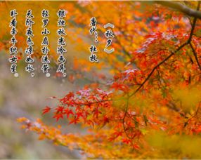 關于七言冬天的詩句