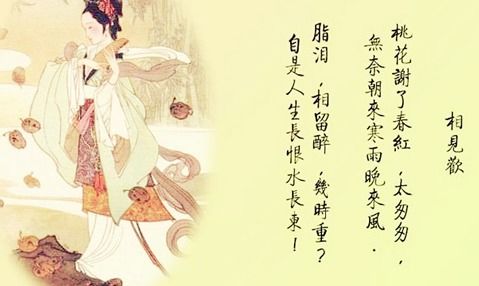 杜甫關(guān)于寫雨的詩(shī)句