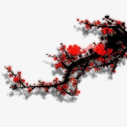 詩句,梅花,贊美,還有哪些