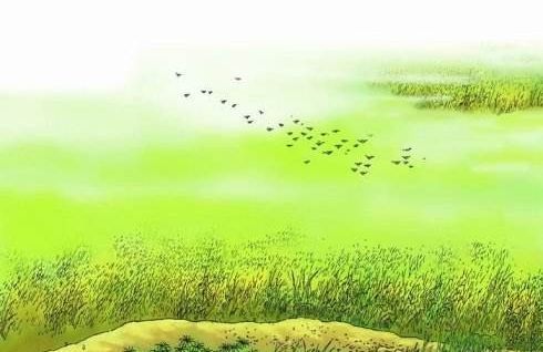 關(guān)于春天的詩句,春天的詩句有哪些?,關(guān)于春天和花朵的詩句有哪些