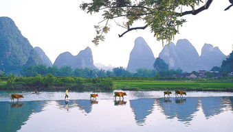 關(guān)于陽朔詩句