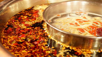 關(guān)于成都飲食的詩句