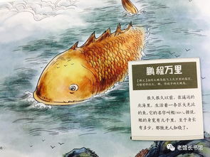 關(guān)于鵬程詩(shī)句