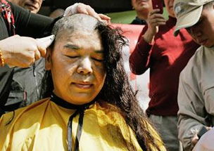 關(guān)于落發(fā)的詩句