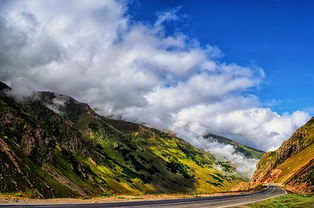 風(fēng)含的詩(shī)句古詩(shī)詞