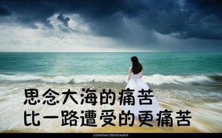 描寫(xiě)山和云古詩(shī)句